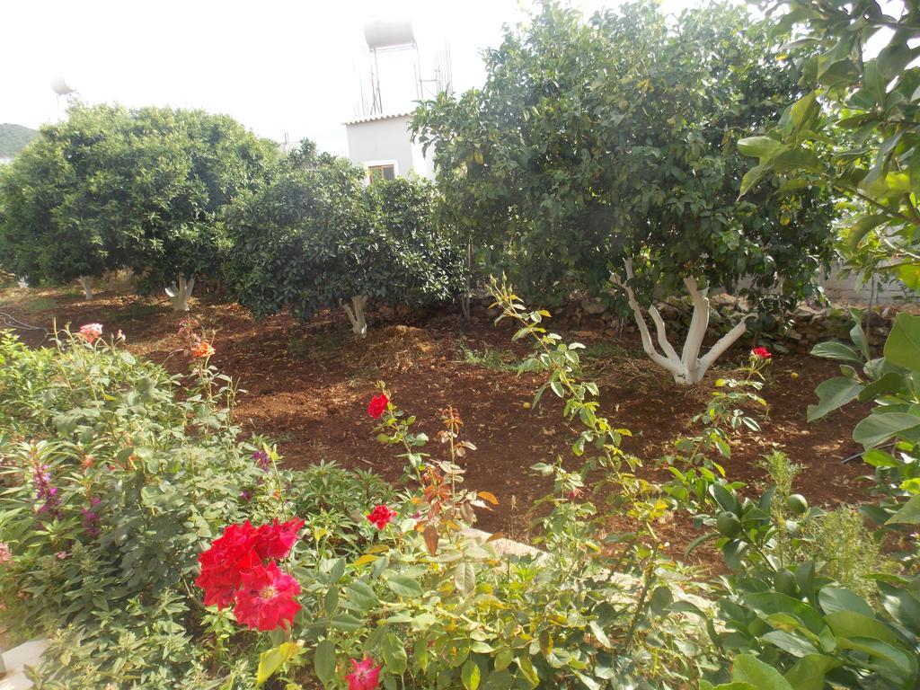 Natural Holiday Houses Εξαμίλιο Εξωτερικό φωτογραφία