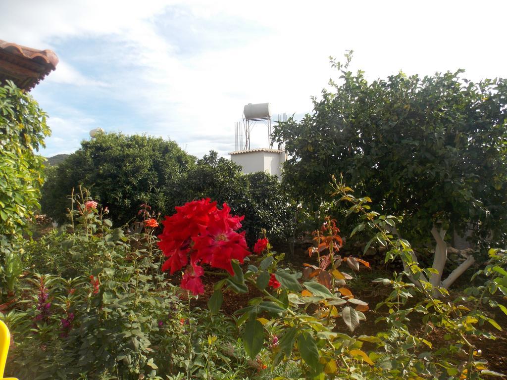 Natural Holiday Houses Εξαμίλιο Εξωτερικό φωτογραφία