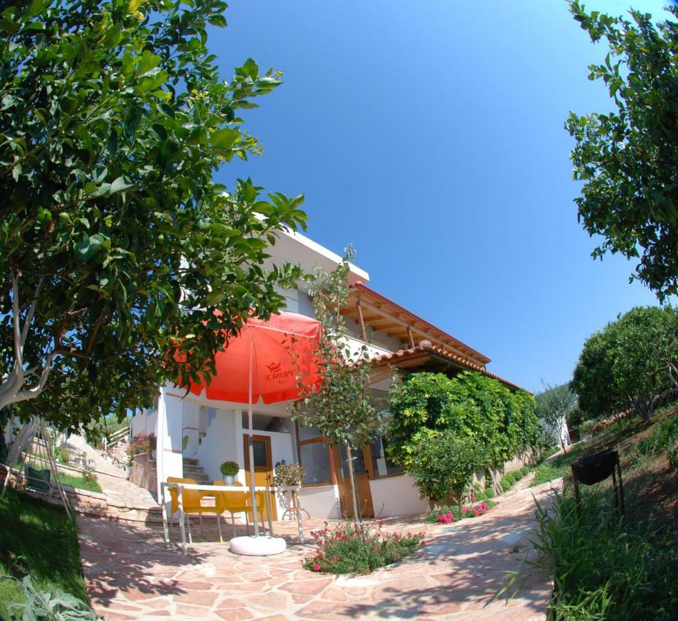 Natural Holiday Houses Εξαμίλιο Εξωτερικό φωτογραφία